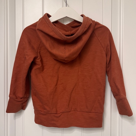 Sweet Toddler Boys Pullover Hoodie - Picture 2 of 4